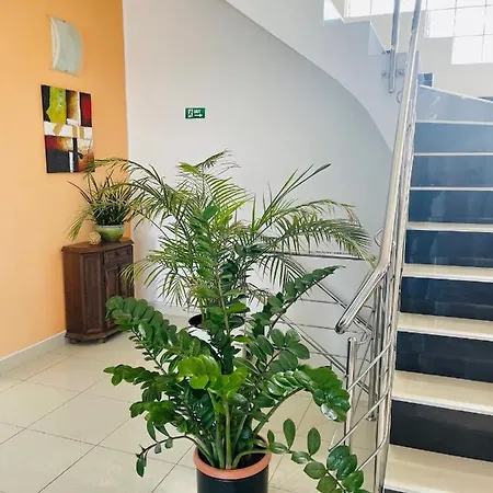 Guest house Casa Constantin Si Elena (adults Only) 3*