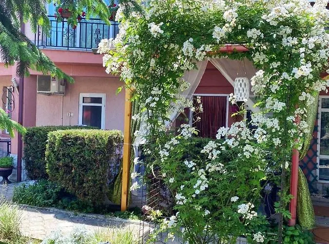 Gæstehus Casa Constantin Si Elena (adults Only) 3*