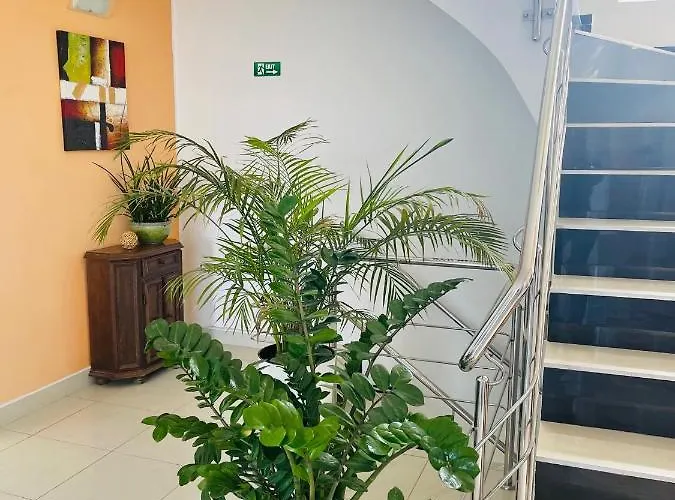 Gæstehus Casa Constantin Si Elena (adults Only) 3*