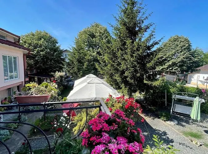 Gæstehus Casa Constantin Si Elena (adults Only) 3*